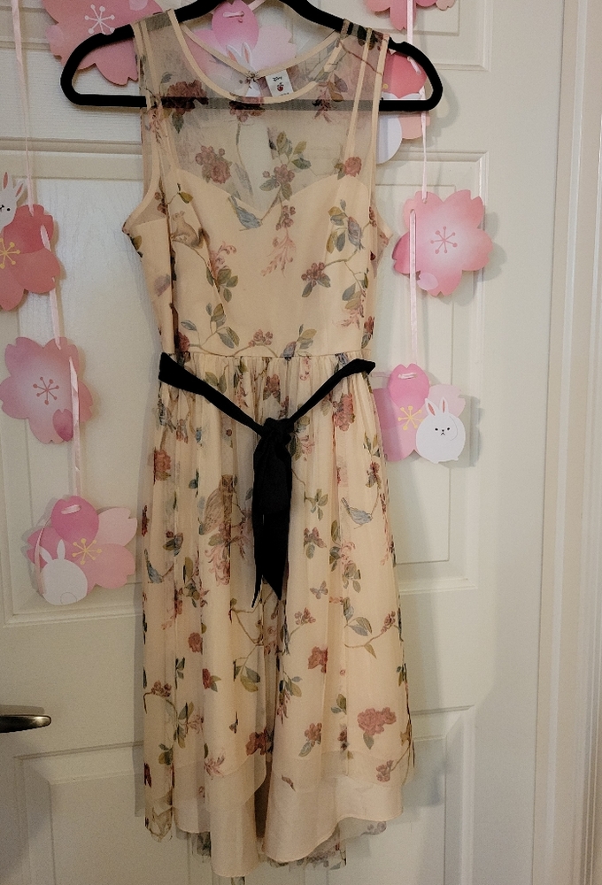 Lauren Conrad disney dress